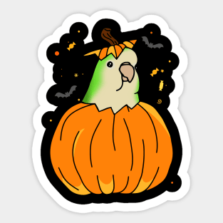 Halloween Green Monk Parakit Pumpkin Hat Sticker